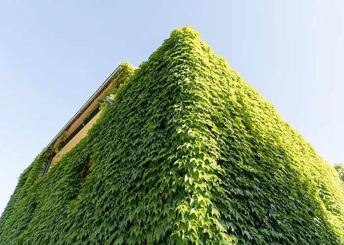 Salugral Termal Hotel 4*