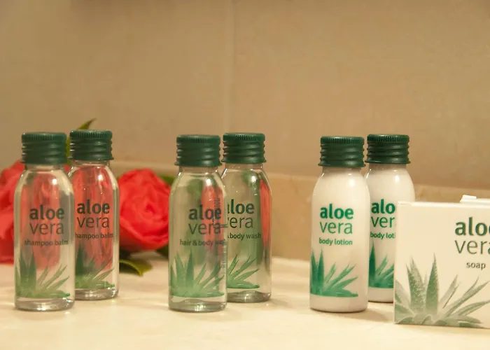 Salugral Termal 4* Хервас