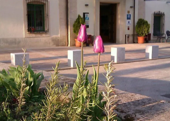 Salugral Termal Hotel 4*