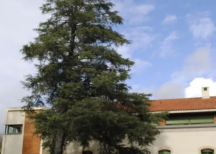 Salugral Termal 4* Hervás